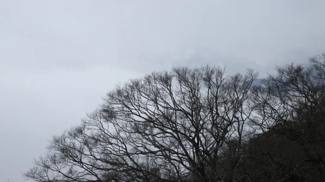 110017rs7u7a0yuc33433e.jpg